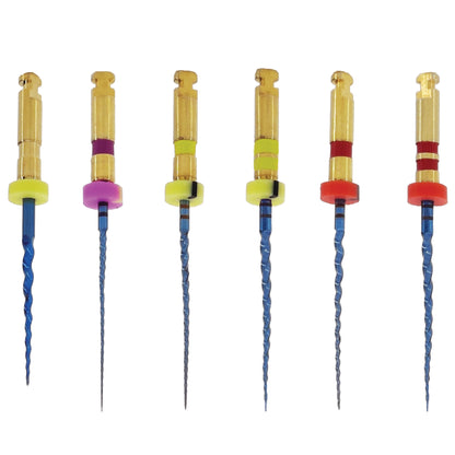 Youni X File (Assorted) (Pack Of 6 Pcs)