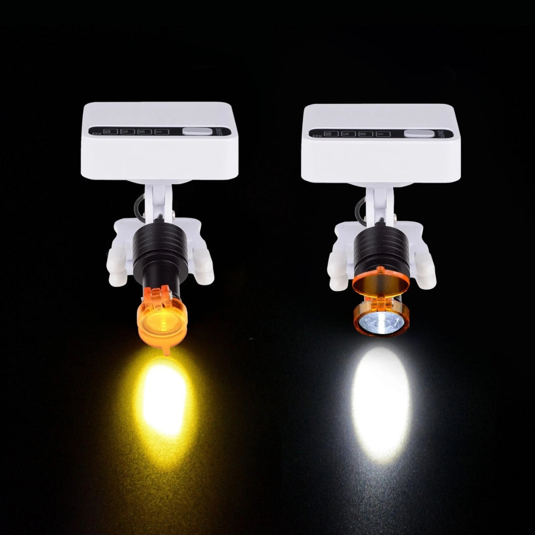 LED Portable Light