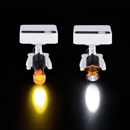 LED Portable Light