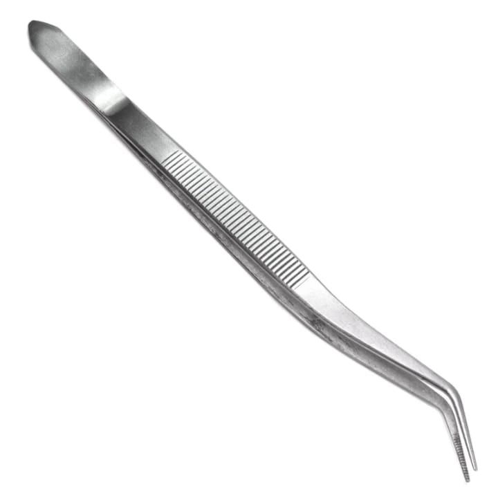 Dental Tweezer