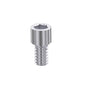 Adin Prosthetic Short Screw