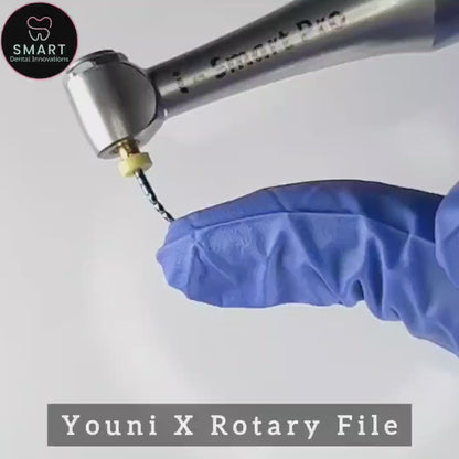 Youni X File (Assorted) (Pack Of 6 Pcs)