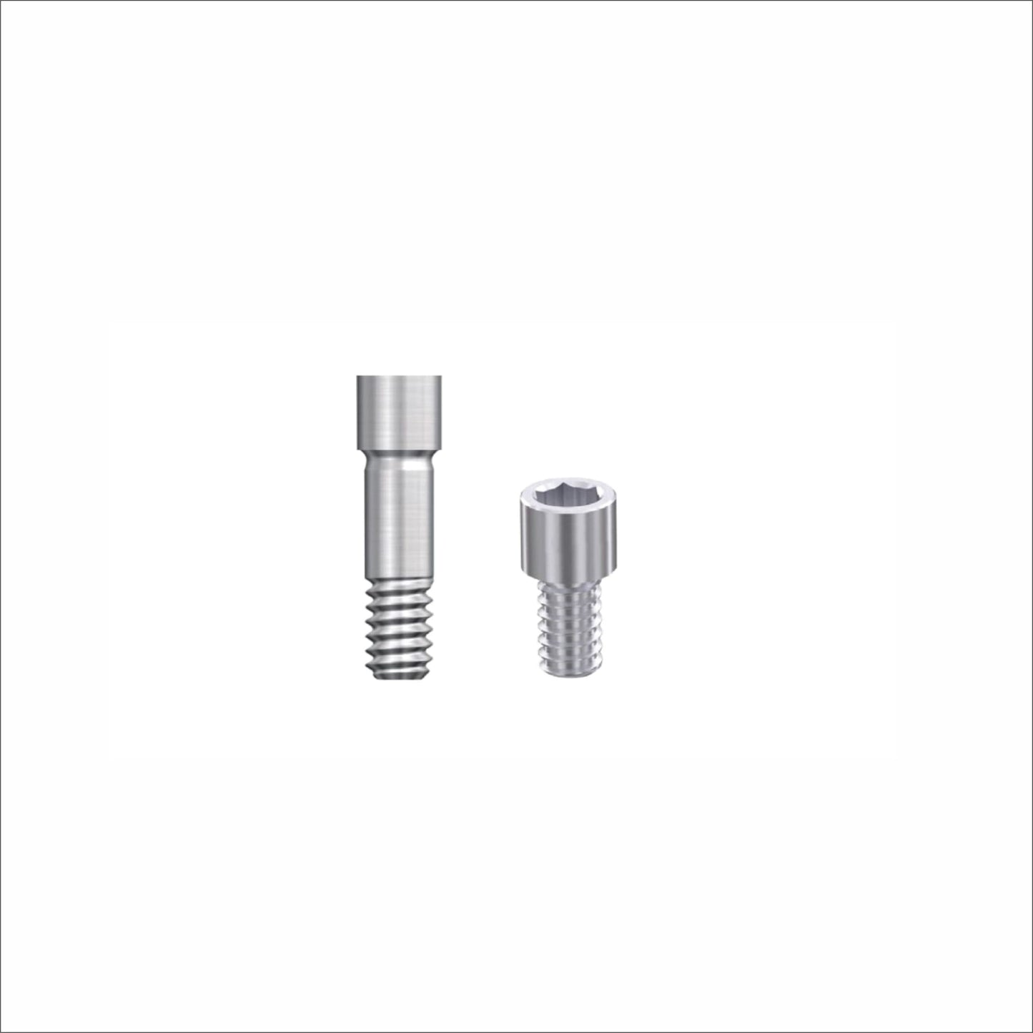 Prosthetic Screw